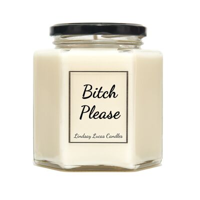 Bitch Please Scented Candle, Best Bitches, Sassy Friend Gift