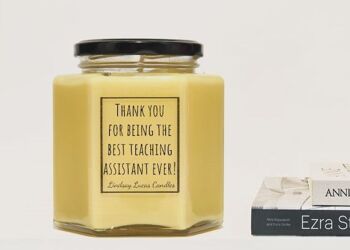 Cadeau de bougie parfumée d'assistant d'enseignement, cadeau de remerciement TA 5