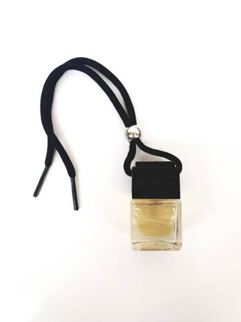 Boîte-cadeau de diffuseur de parfum d'ambiance de parfum de voiture/d'eau de Cologne TYPE D'ÉTÉ/FRUITÉ 6