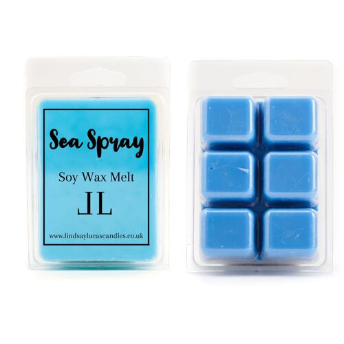 Sea Spray Wax Melt, Wax Melt, Wax Tart, Candle Tart, Tart For Burner, Wax Melt For Burner, Fresh Wax Melts, Masculine Scented Wax Melts