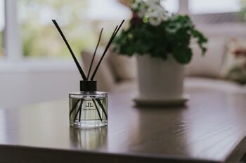 Bouteille de diffuseur de roseau de fête foraine d'hiver avec des bâtons, parfum de maison confortable, cadeau de Noël, parfum de maison parfumé de maïs soufflé et de barbe à papa 9