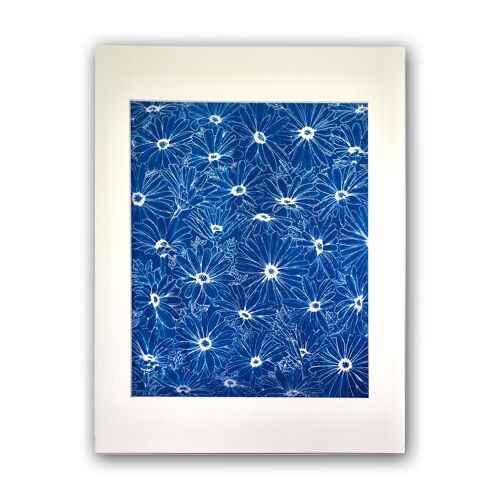 Affiche Cyanotype Marguerite