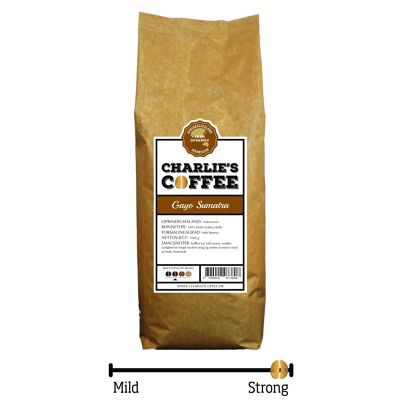 Gayo Sumatra - Espresso-500 Gramm