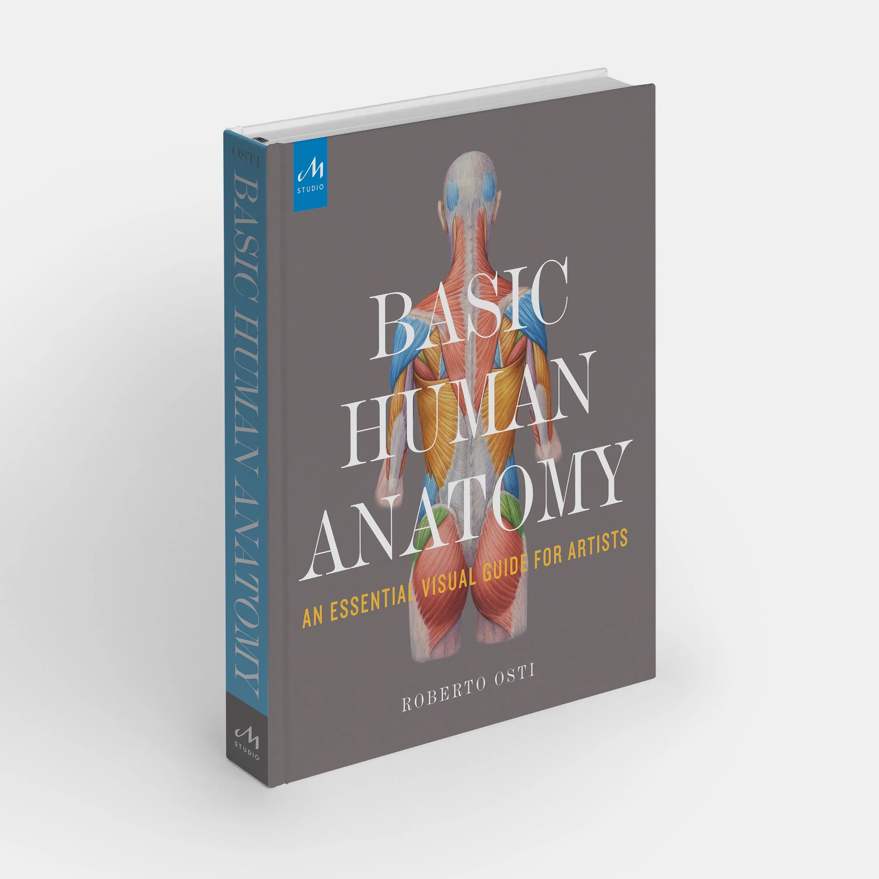 Buy wholesale Basic Human Anatomy: An Essential Visual Guide for Artists