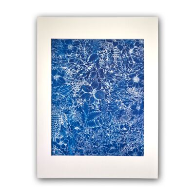 Affiche Cyanotype Fleurs d'hiver