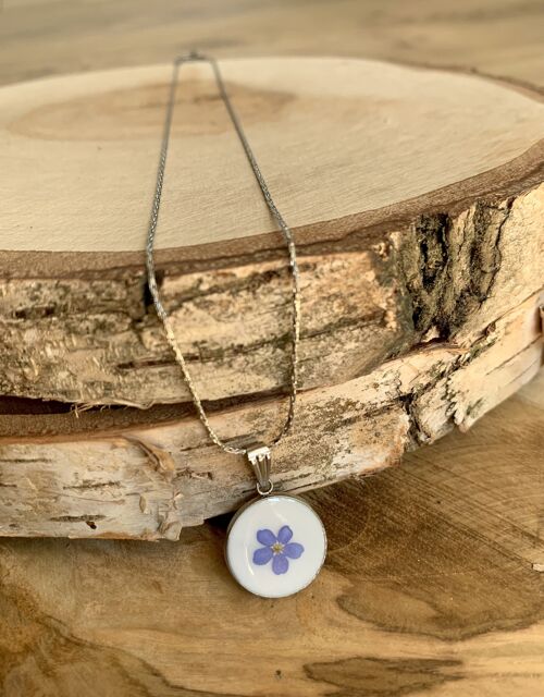 Collier fleur séchée Myosotis, cercle argenté fond blanc