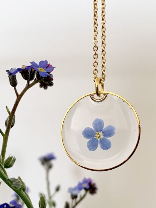 Collier fleur séchée Myosotis résine, pendentif cercle transparent doré