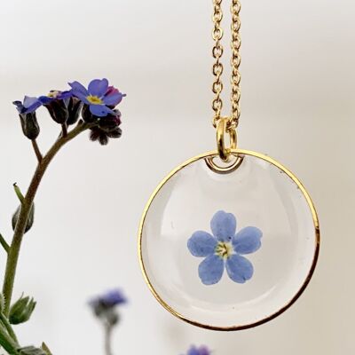 Resin Myosotis dried flower necklace, golden transparent circle pendant
