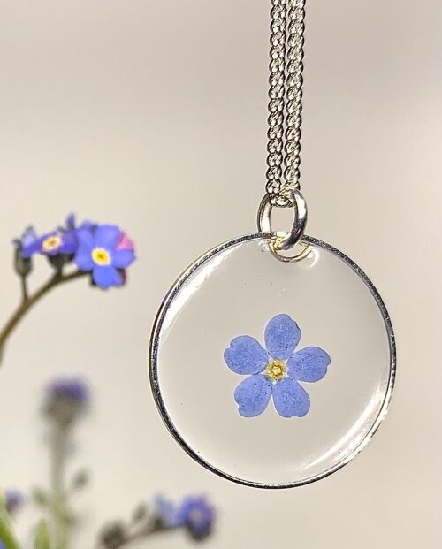Collier fleur séchée Myosotis résine, pendentif cercle transparent argenté