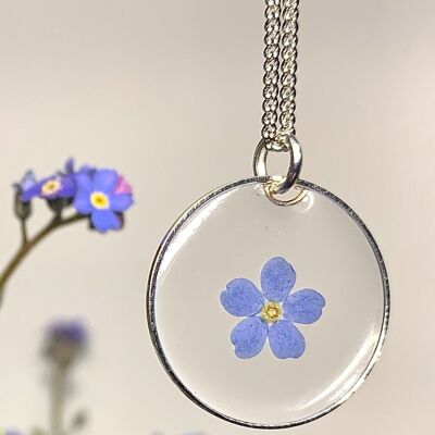 Resin Myosotis dried flower necklace, silver transparent circle pendant