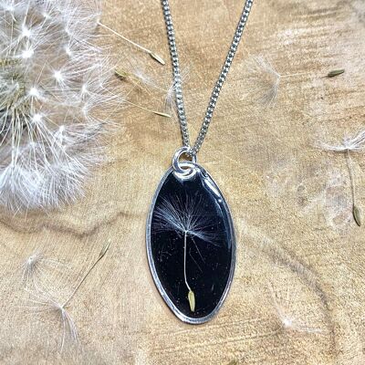 Dandelion dried flower necklace, oval pendant silver black background
