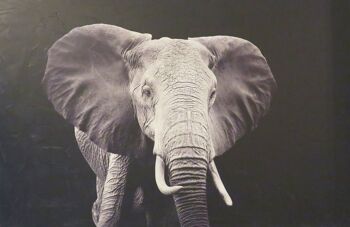 Art aspect pierre d'éléphant gris 120x80 2