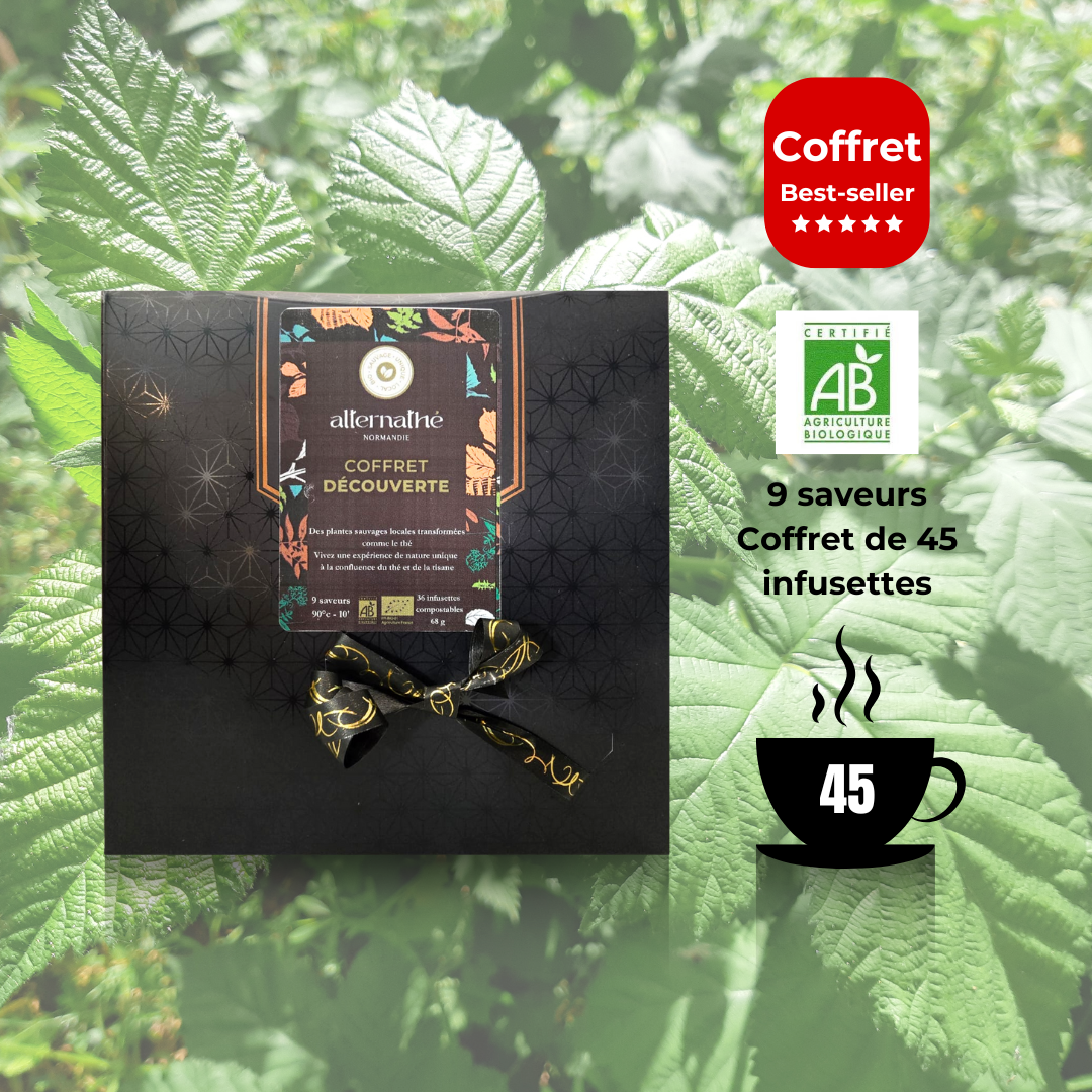 Coffret cadeau d'Alternathés : 9 saveurs, 45 infusettes