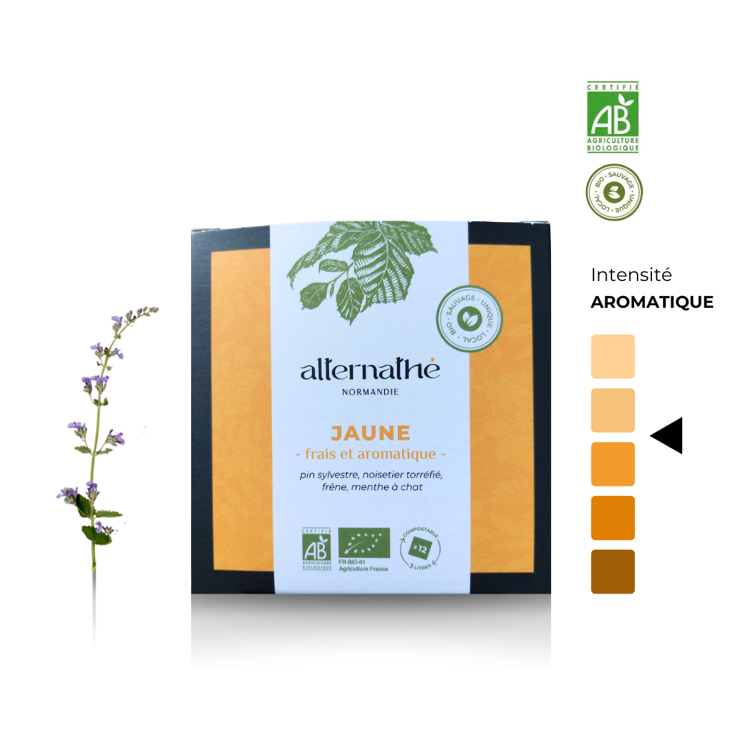 Infusion Alternathé, l'alternative au thé JAUNE, en infusettes > Frais et aromatique