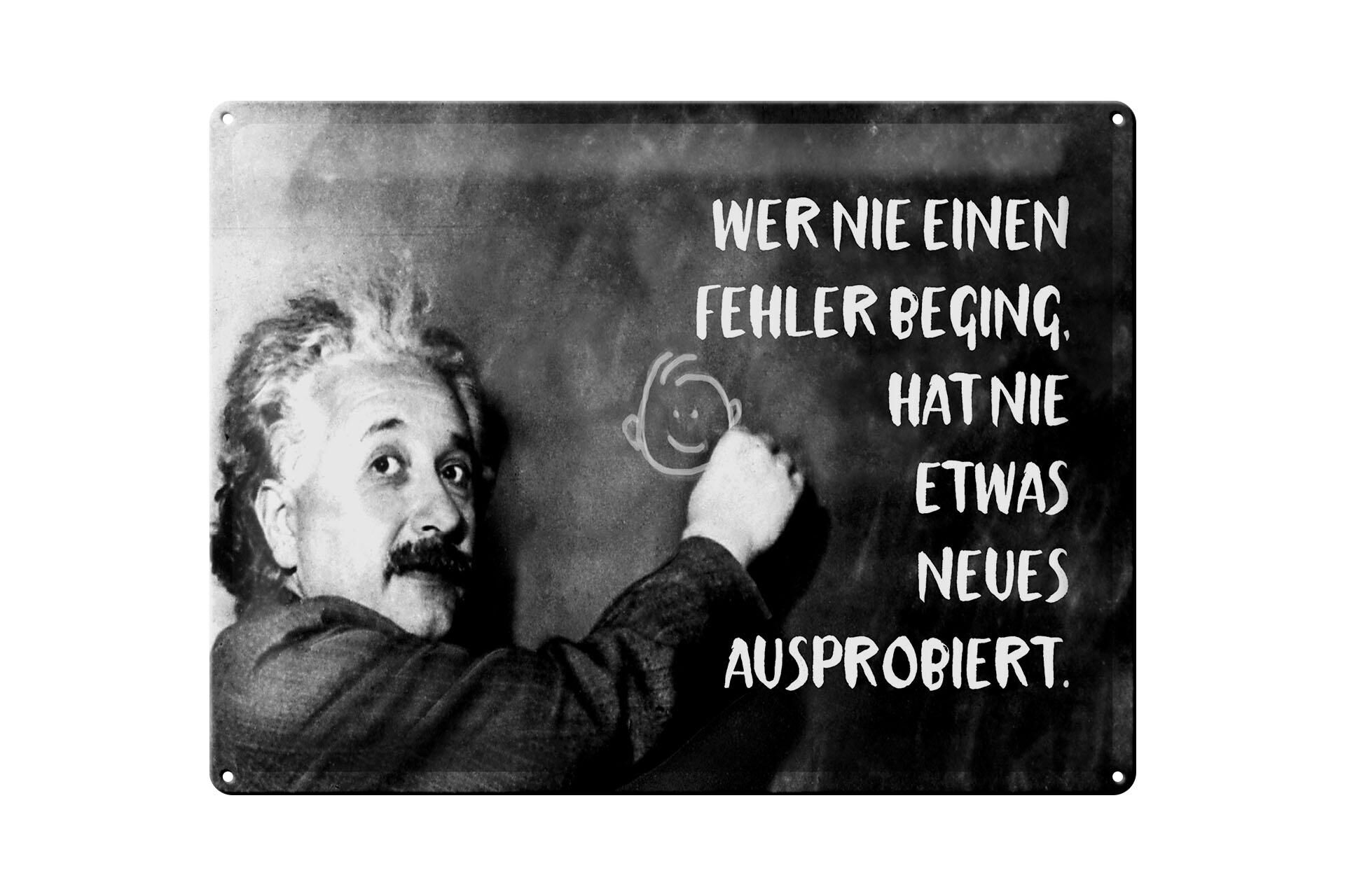 Metal sign quote 30x40 cm Einstein plaque "He who never made a mistake" sign
