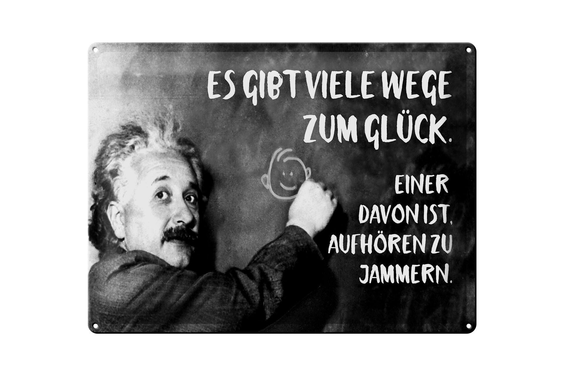 Metal sign with quote, 30x40 cm, Einstein plaque: "Stop complaining" Decorative sign