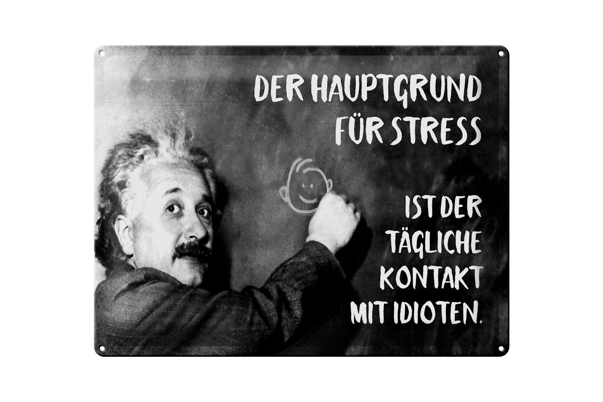 Metal sign with quote, 30x40 cm, Einstein plaque: main reason for stress, decorative sign