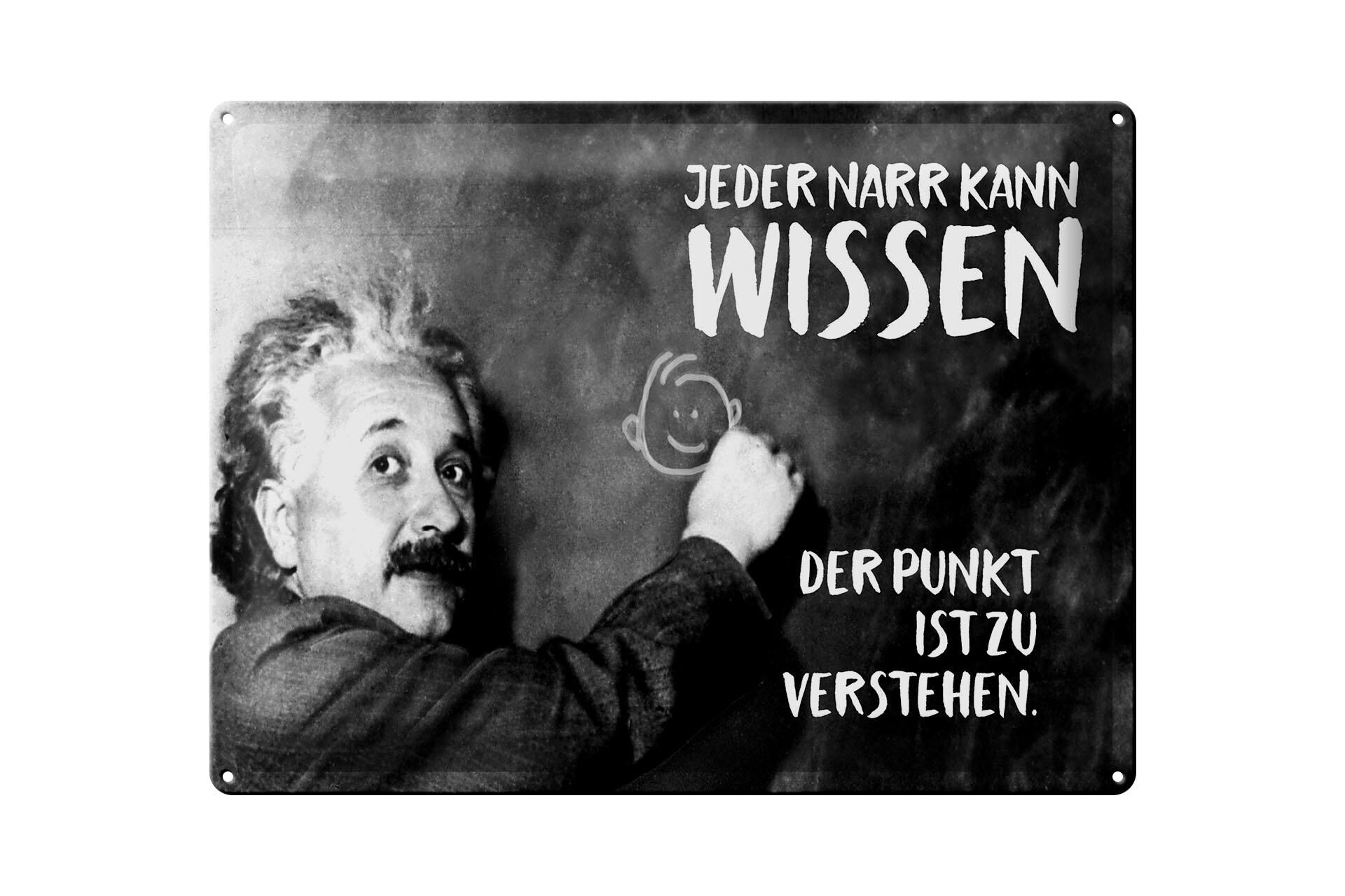 Metal sign with quote, 30x40 cm, Einstein plaque: The point is to understand. Decorative sign.