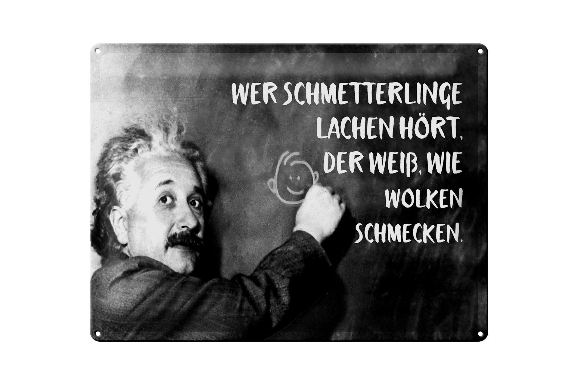 Metal sign with quote, 30x40 cm, Einstein plaque, butterflies laughing, clouds tasting