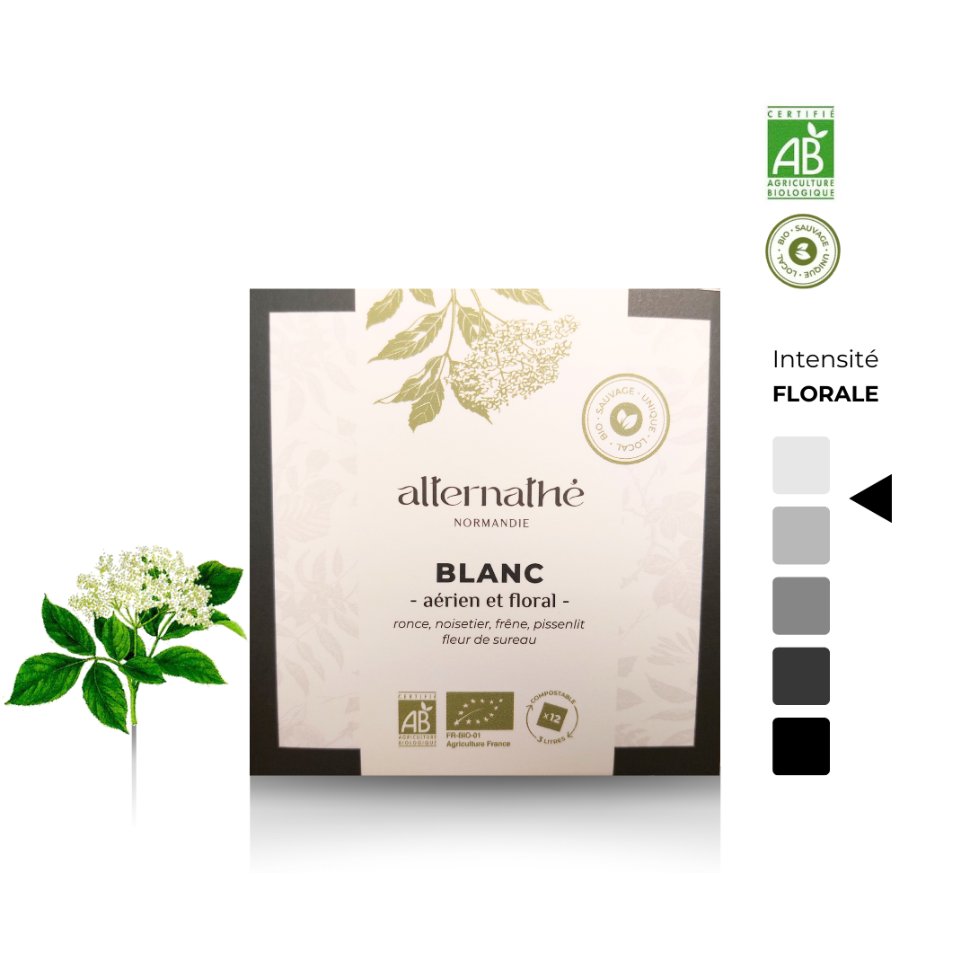 Infusion Alternathé, l'alternative au thé BLANC, en infusettes > Aérien et floral