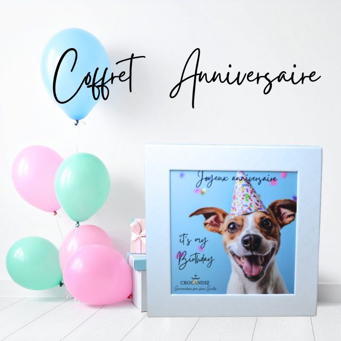 Hundeleckerlis – Hundegeburtstag
