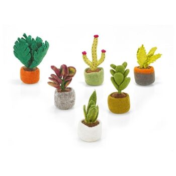 Feutre à la main biodégradable en fleurs hérisson Cactus faux décoration de plante miniature 2