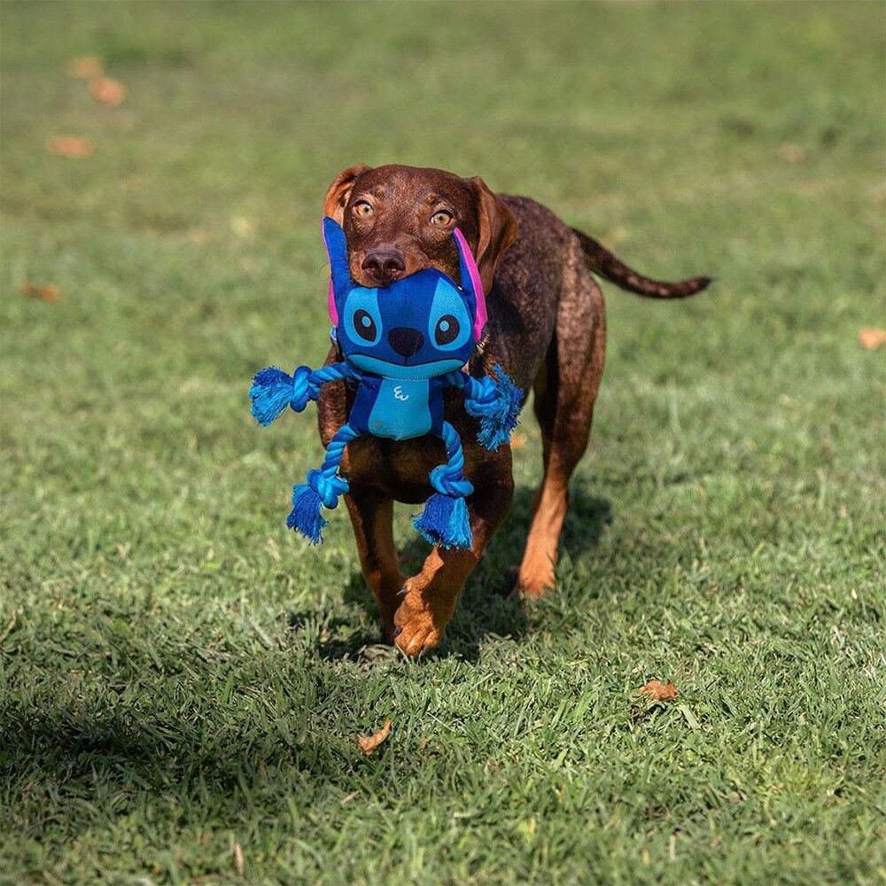 Toy for Animal Stitch Disney