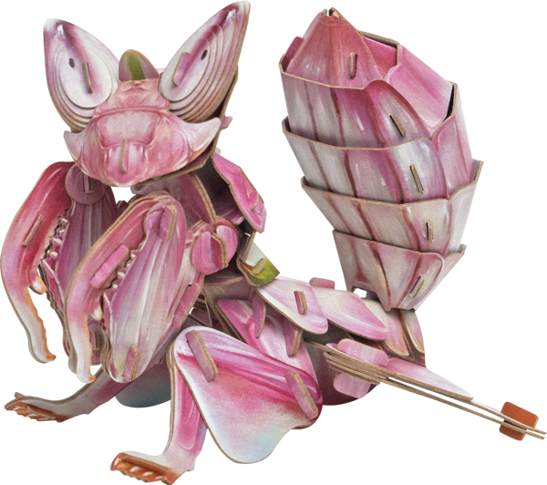 MakeBug, Modelado 3D, Mantis Orquídea, MB-D-0052, 11x12x11 cm