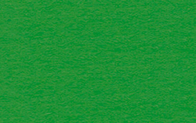 Fotokarton (300 g/m²), DIN A3, 50 Blatt, lindgrün