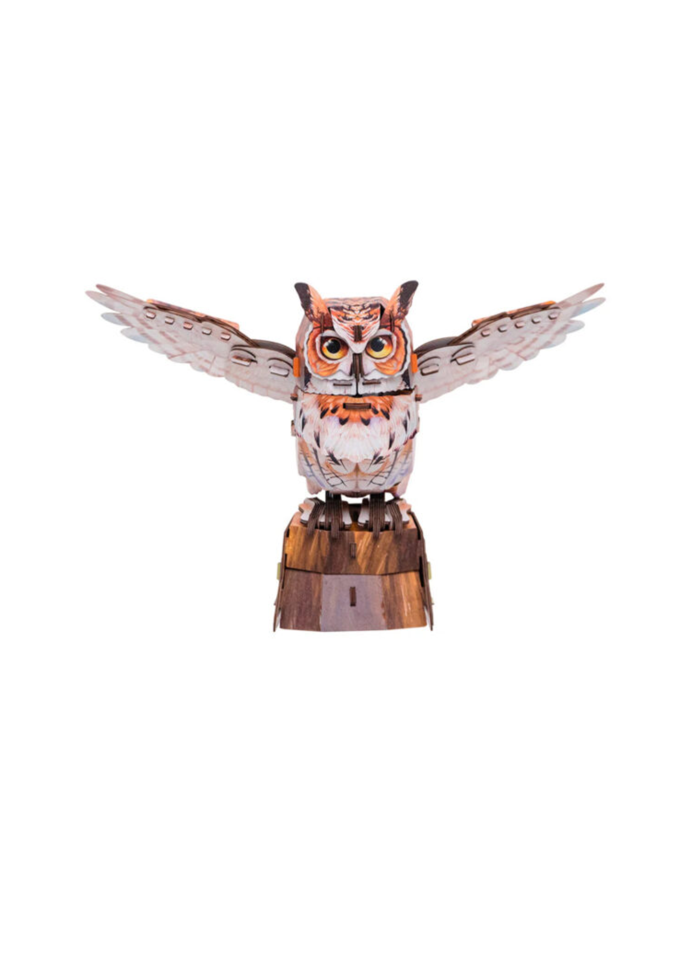 Buy wholesale MakeBug, 3D Model Building, Great Horned Owl, MB-D