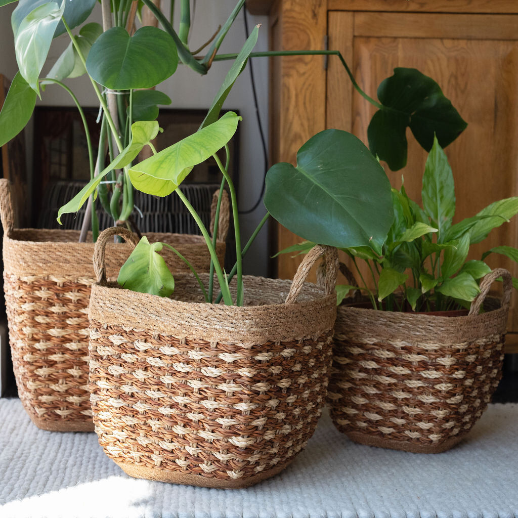 Karatoya, Square Seagrass Basket with Tapered Base Set of 3