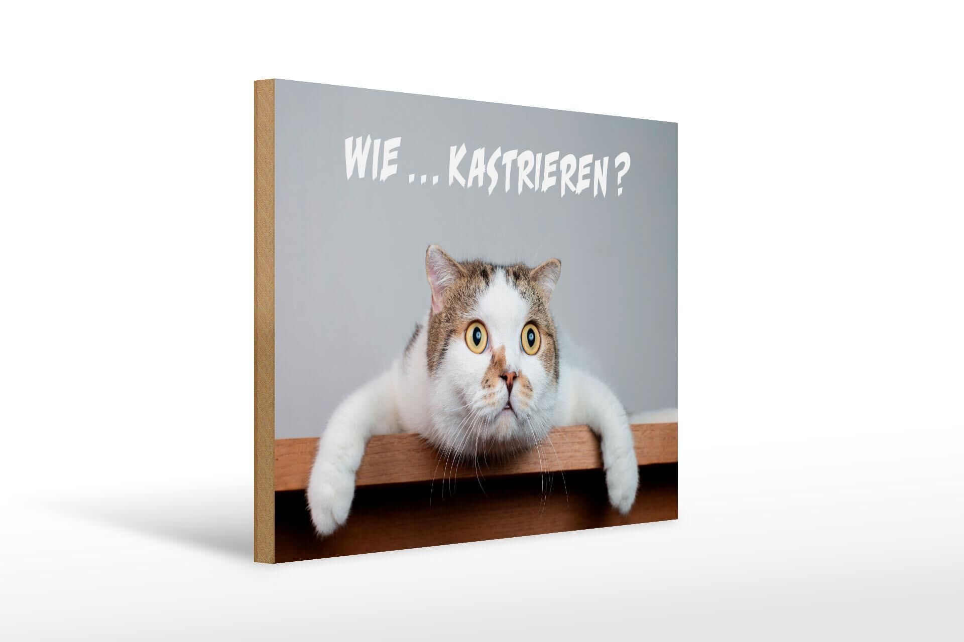 Wooden sign with saying, 30x40 cm, cat saying, how to neuter, decorative sign