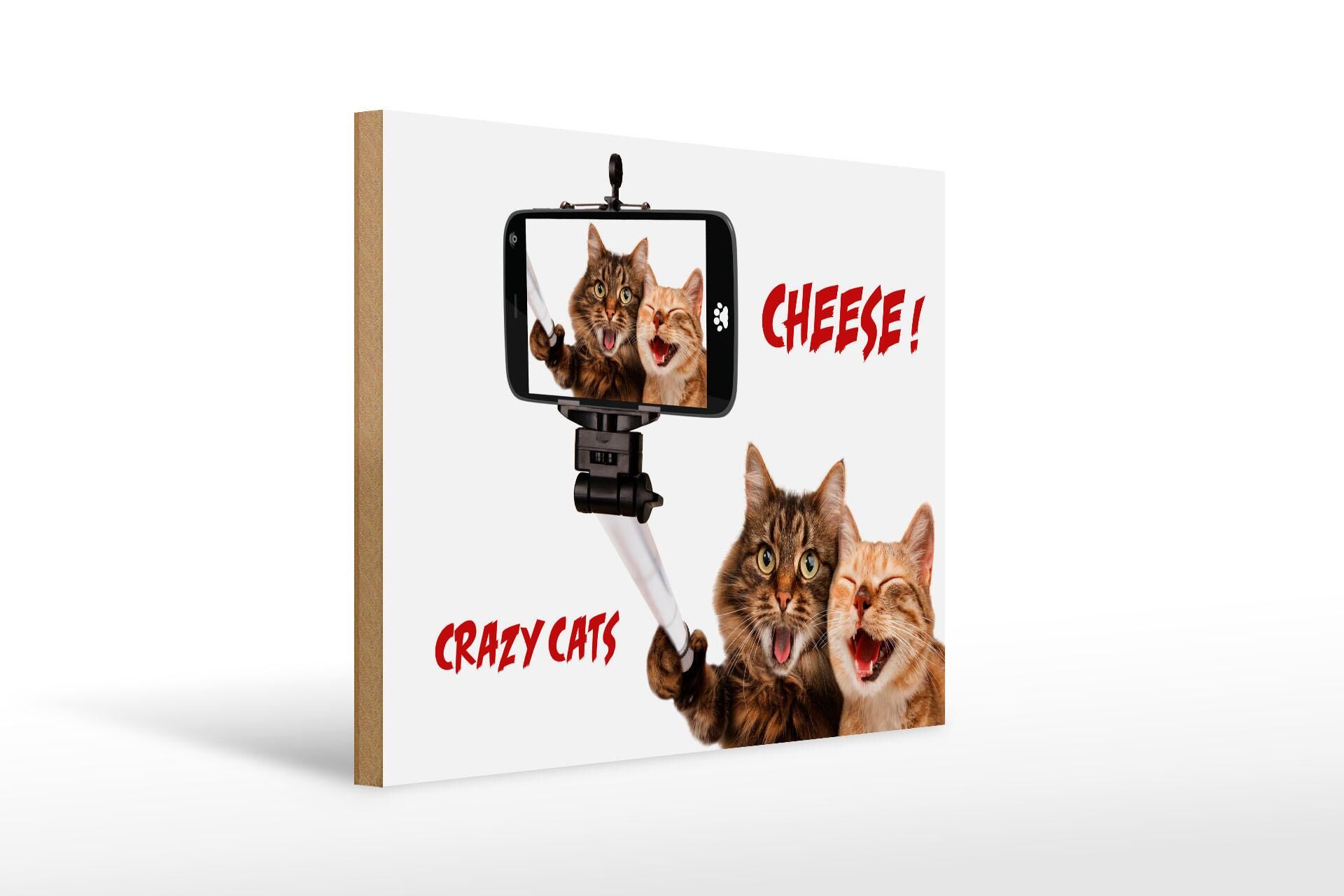 Wooden sign with saying, 30x40 cm, Cats Cheese Crazy Cats decorative sign