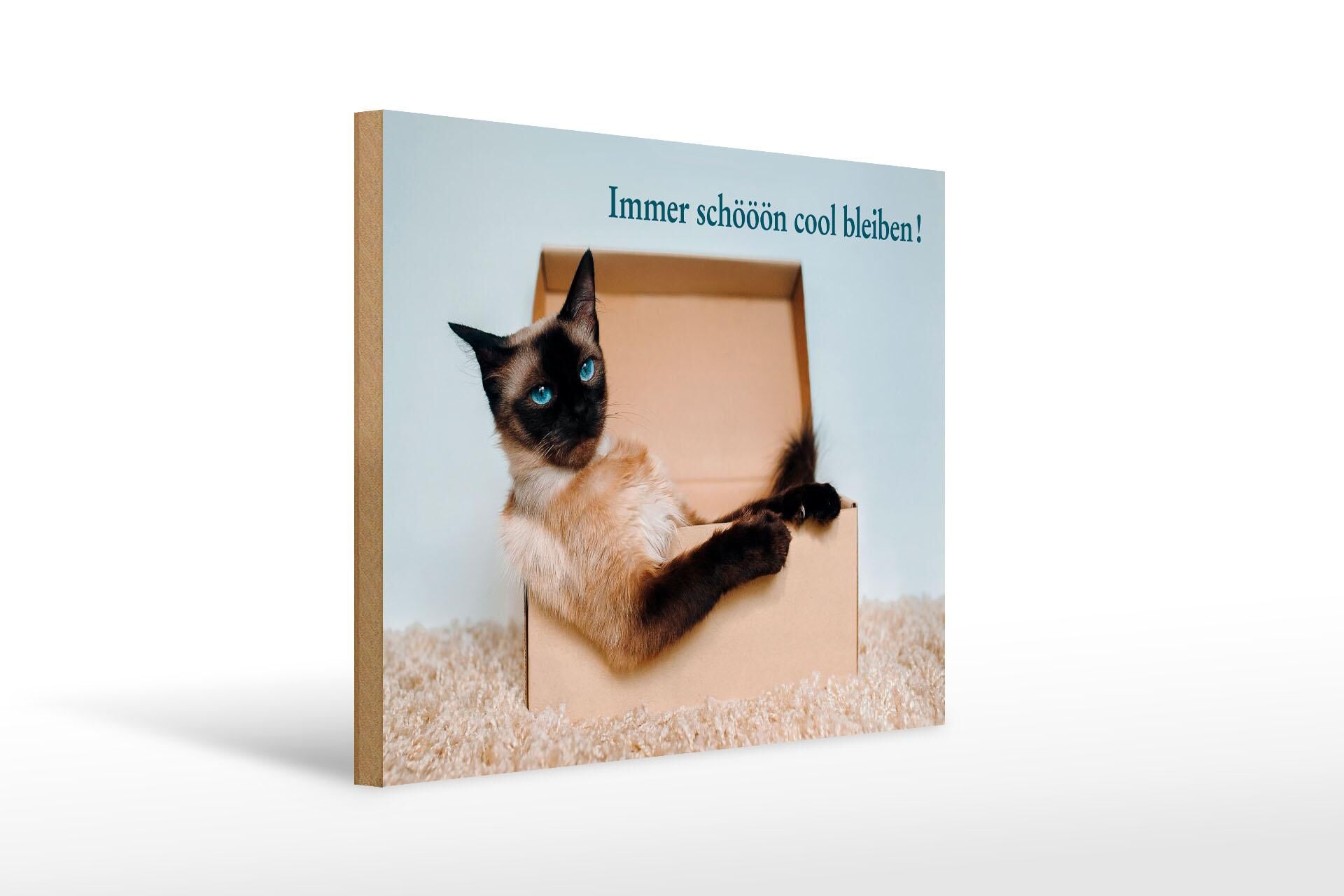 Wooden sign with saying, 30x40 cm, cat in a box, always stay cool, decorative sign