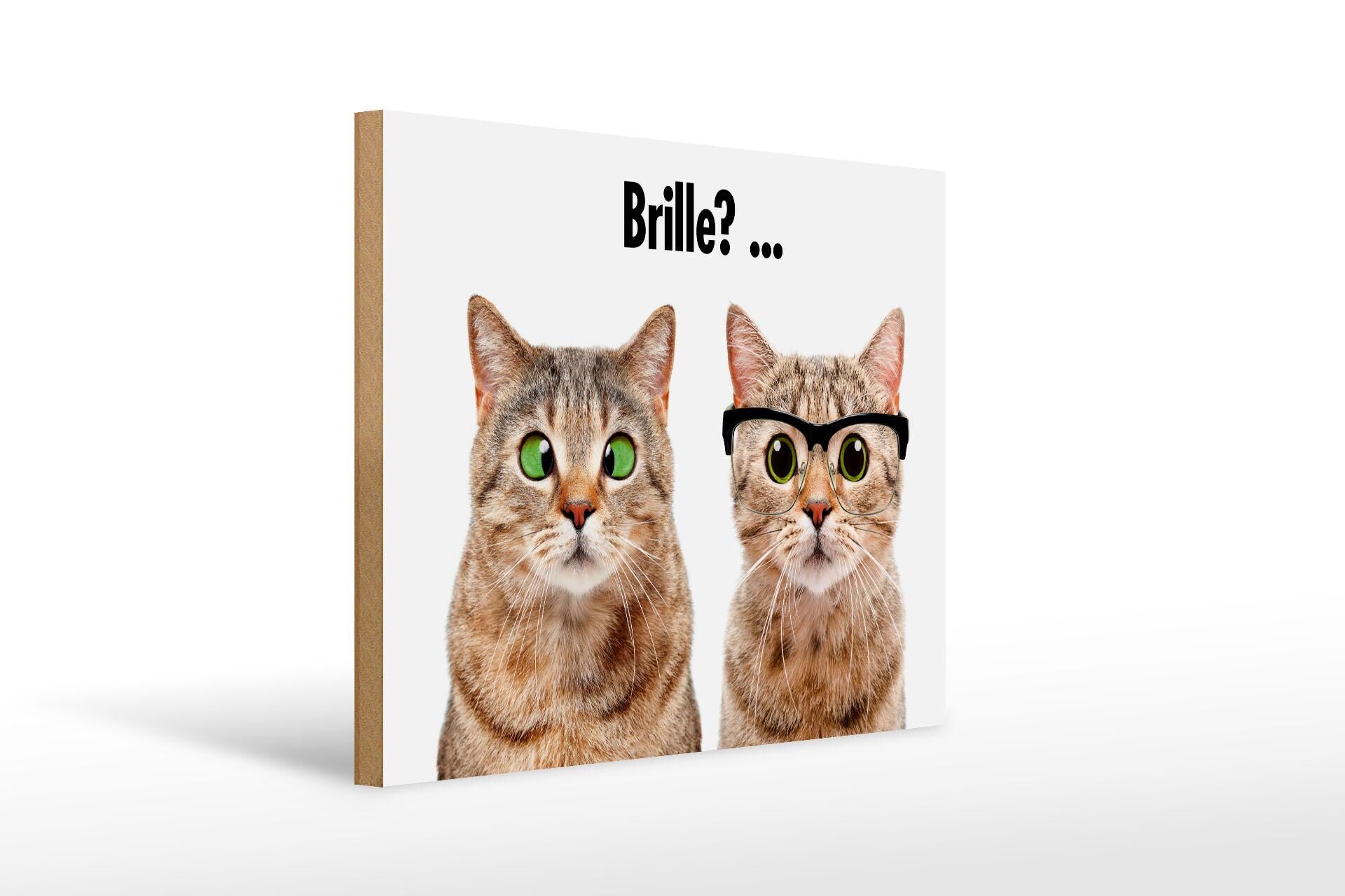 Wooden sign with animals, 30x40 cm, cats with and without glasses, decorative sign