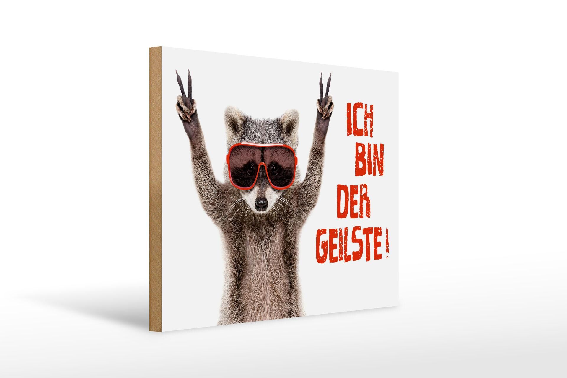 Panneau décoratif en bois avec inscription, 30 x 40 cm, raton laveur : Je suis le plus cool !