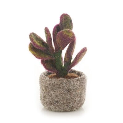 Fieltro hecho a mano biodegradable Ficus Elastica falso decoración de plantas en miniatura 12,5 cm x 7 cm