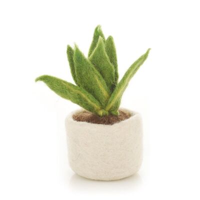 Fieltro hecho a mano biodegradable Sanseveria falso decoración de plantas en miniatura 11,5 cm 7 cm