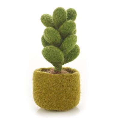 Decorazioni per piante succulente in feltro fatte a mano in miniatura Sedum 13 cm x 7 cm