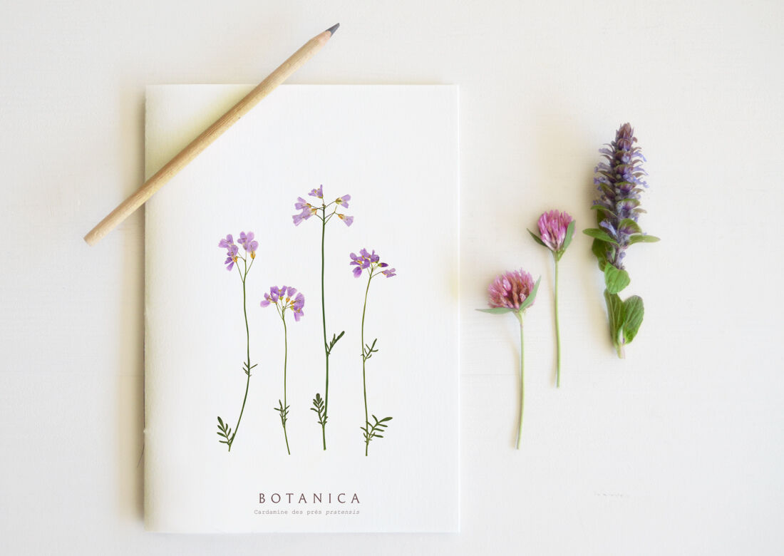 Handmade A5 notebook "Meadow Cardamine" • Botanica collection