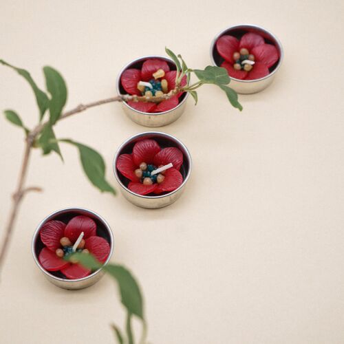 Red Escallonia Scented Tealights