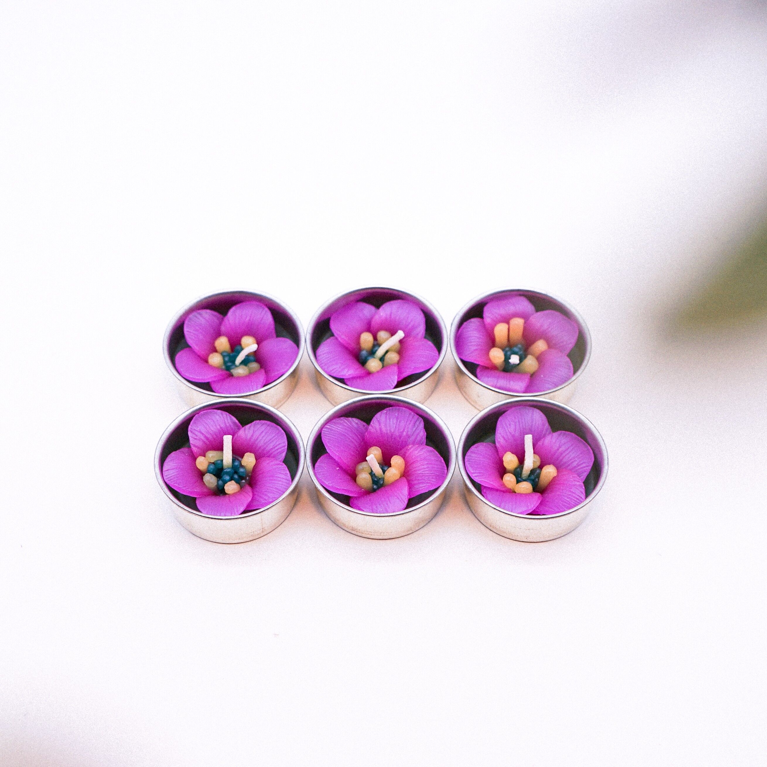 Velas candelitas perfumadas Escallonia rosa