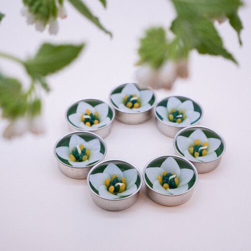 White Campanula Scented Tealights