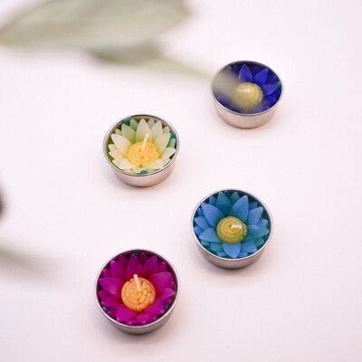 Assorted Water Lily Scented Tealights