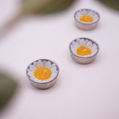White Daisy Scented Tealights