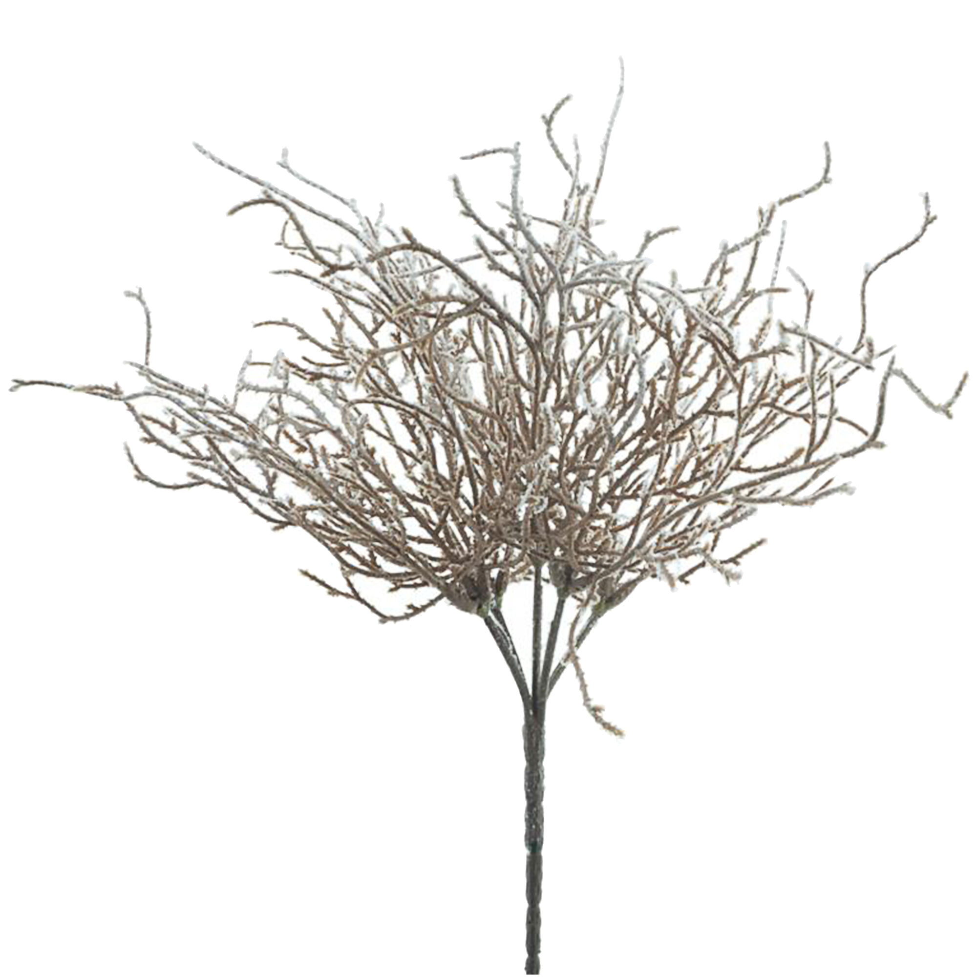 Kaylo branch, L34cm, light brown