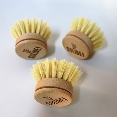 Wooden Dish Brush Replacement Head