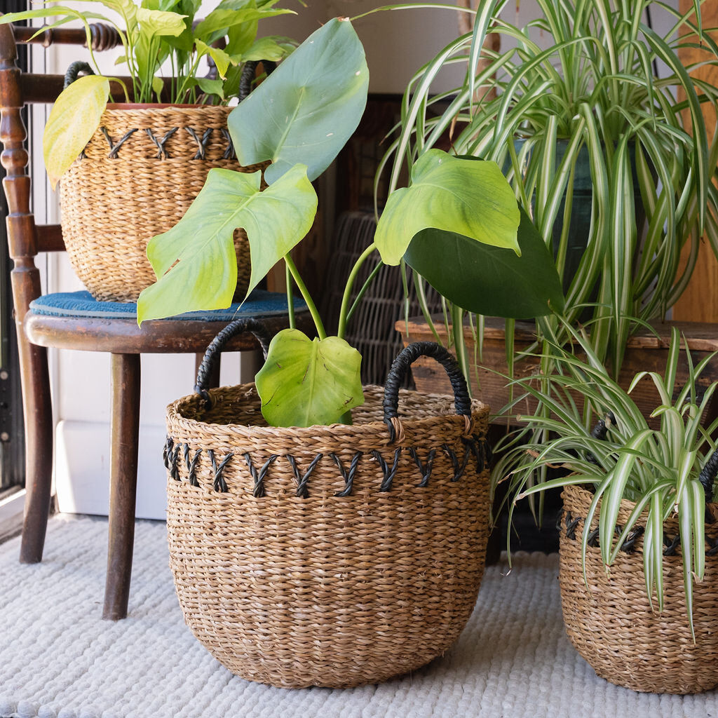 Haora, Seagrass Basket with Tapered Base and Black detailing Set of 3