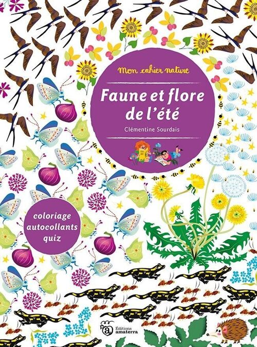 Faune et flore de l’été