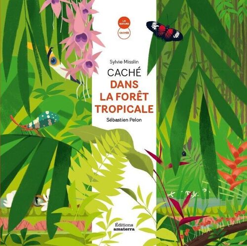 Caché dans la forêt tropicale